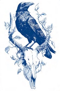 Quill II